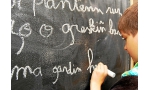 enseignement-bilingue-breton-langue-bretonne-eleve-au_4466592.jpg